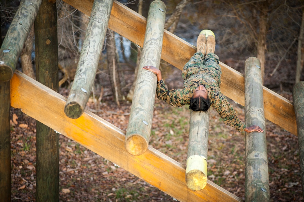 Delta Company Confidence Course &amp; Tarzan Course