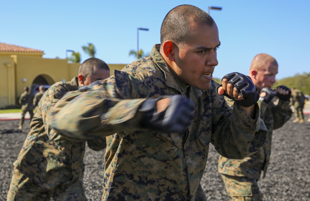 Delta Company recruits tackle the MCMAP test