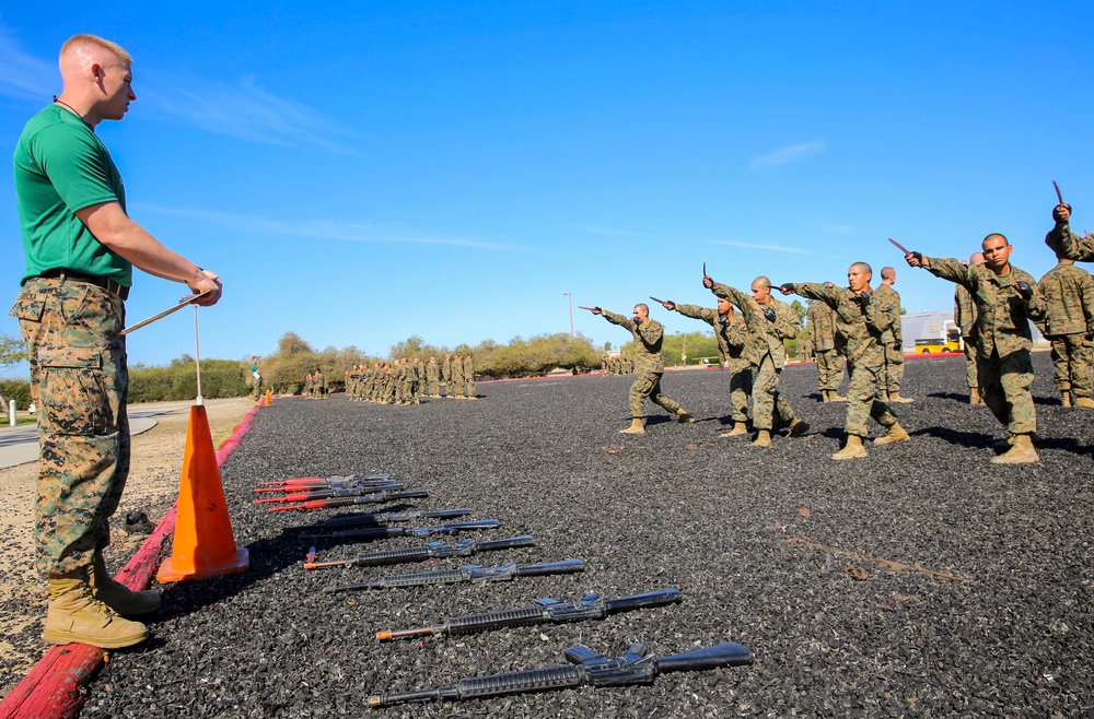 Delta Company recruits tackle the MCMAP test