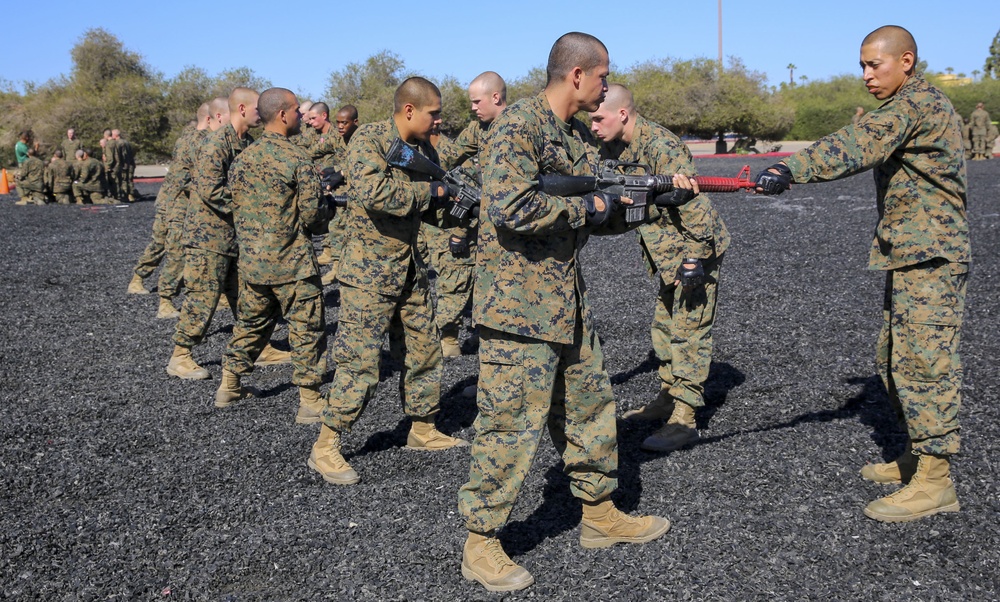 Delta Company recruits tackle the MCMAP test