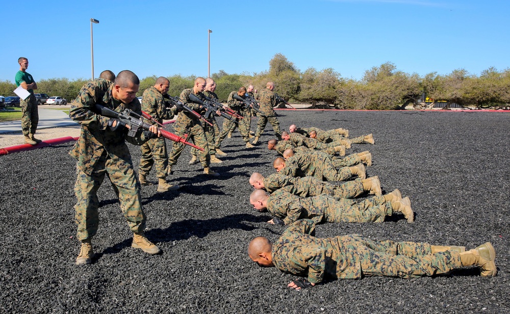 Delta Company recruits tackle the MCMAP test