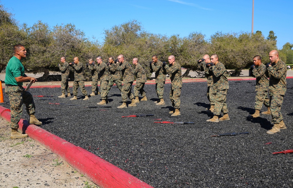 Delta Company recruits tackle the MCMAP test