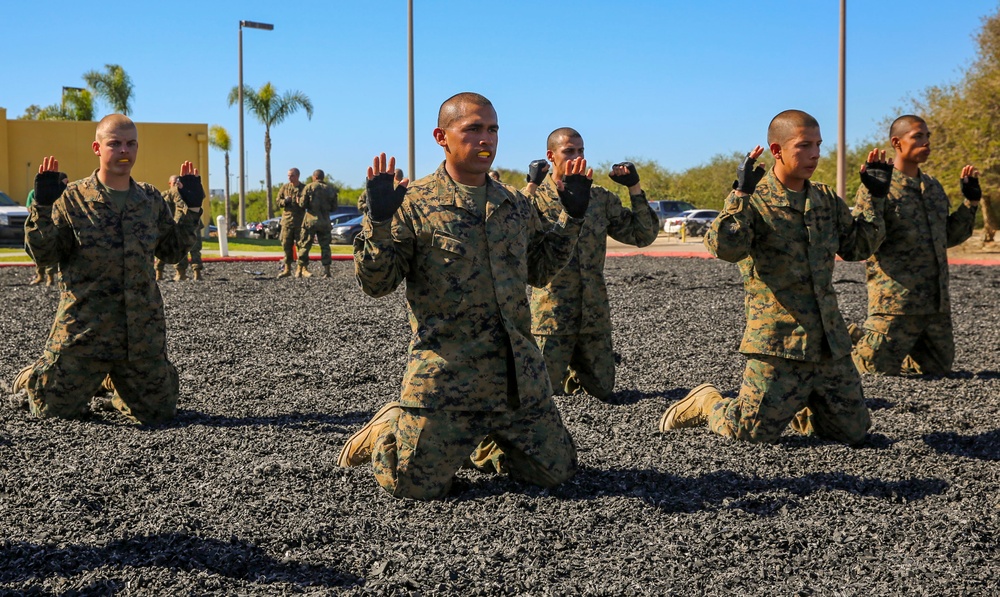 Delta Company recruits tackle the MCMAP test