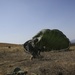 Paratroopers Land