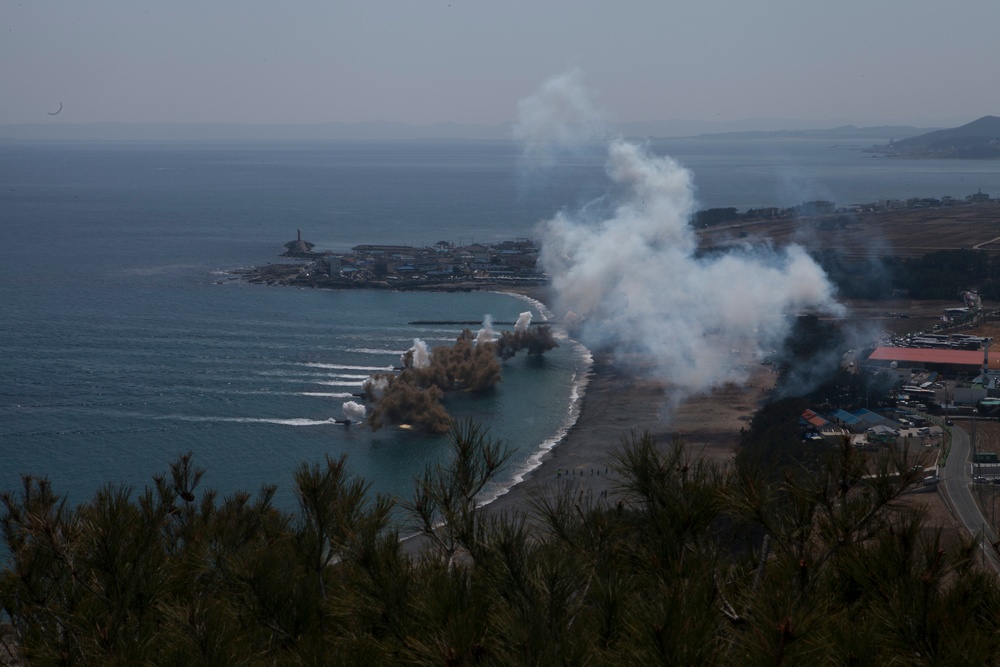 Combined Force Leaders Observe Amphibious Landing