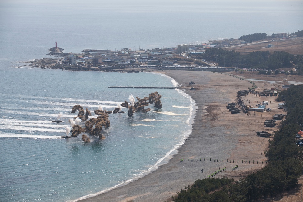 Combined Force Leaders Observe Amphibious Landing