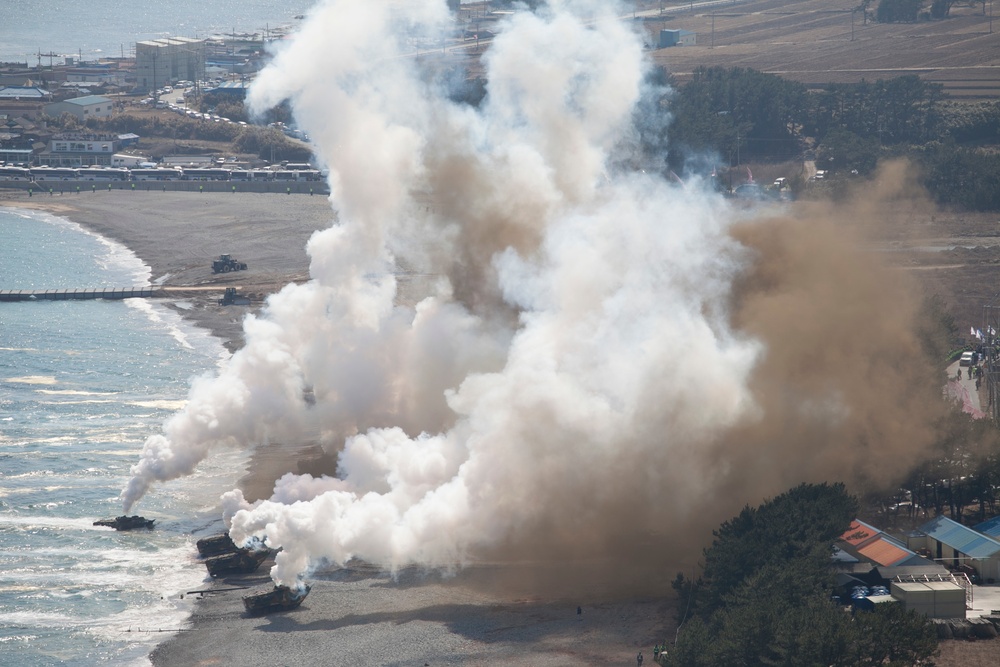 Combined Force Leaders Observe Amphibious Landing