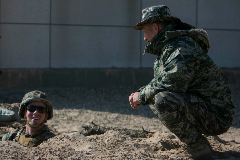 Amphibious Assault Exercise