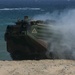 Amphibious Assault Exercise