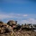2nd CEB, VMM-365 conducts CASEVAC exercise