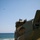 Ssang Yong 16 amphibious landing