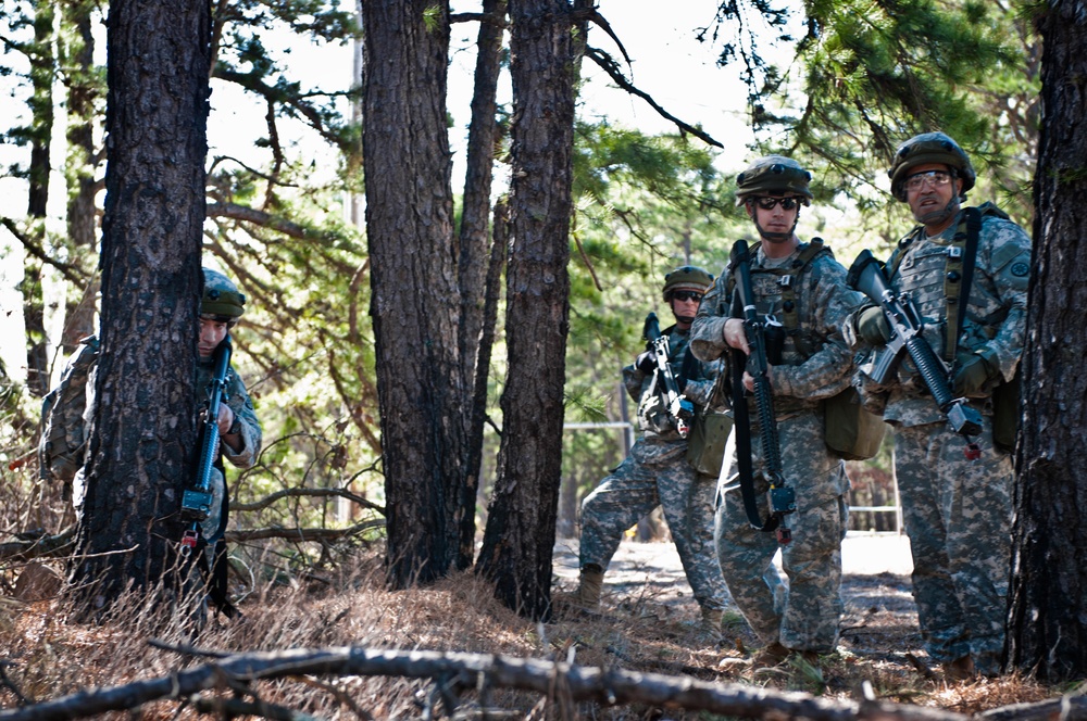 Combat Support Training Exercise 78-16-01