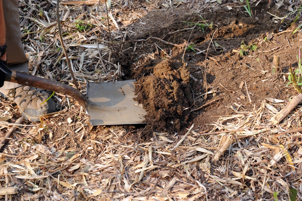 Fullfilling Our Nation's Promise  16-3LA RT-2