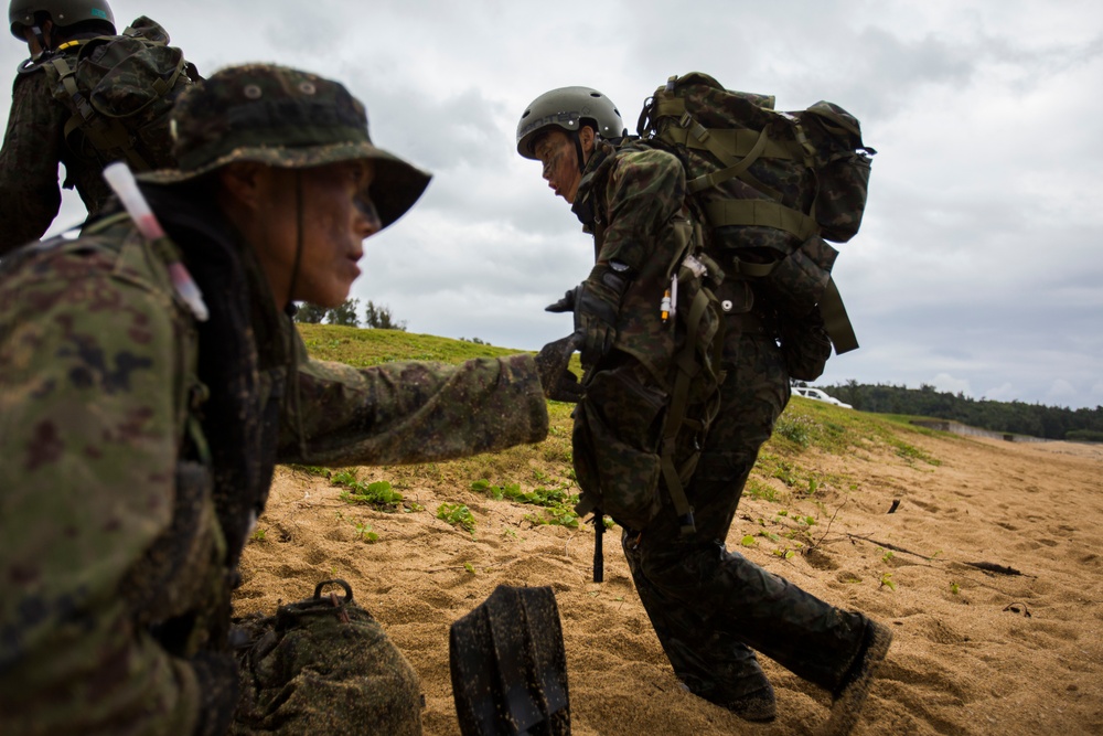 Marine, Japanese Forces Team Up For Amphibious Training