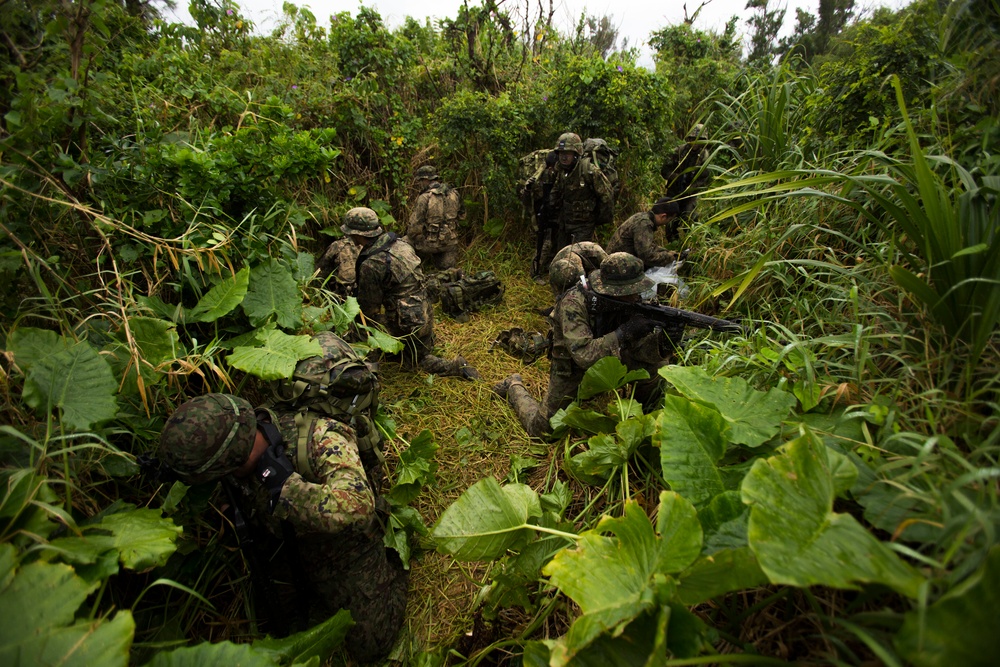 Marine, Japanese Forces Team Up For Amphibious Training