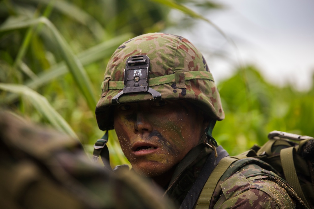 Dvids Images Marine Japanese Forces Team Up For Amphibious