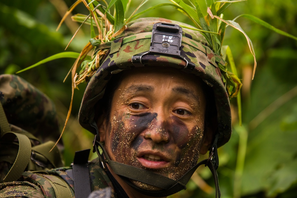 Marine, Japanese Forces Team Up For Amphibious Training