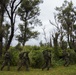 Marine, Japanese Forces Team Up For Amphibious Training