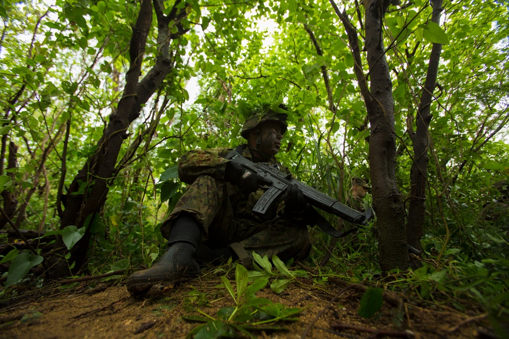 Marine, Japanese Forces Team Up For Amphibious Training