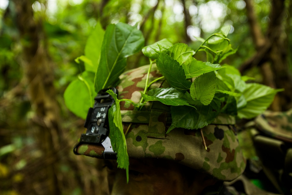 Marine, Japanese Forces Team Up For Amphibious Training