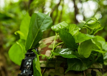 Marine, Japanese Forces Team Up For Amphibious Training