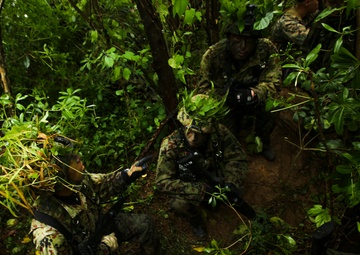 Marine, Japanese Forces Team Up For Amphibious Training