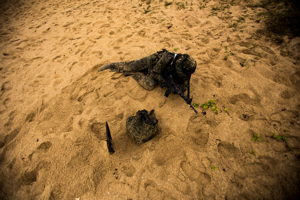 Marine, Japanese Forces Team Up For Amphibious Training