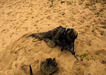 Marine, Japanese Forces Team Up For Amphibious Training
