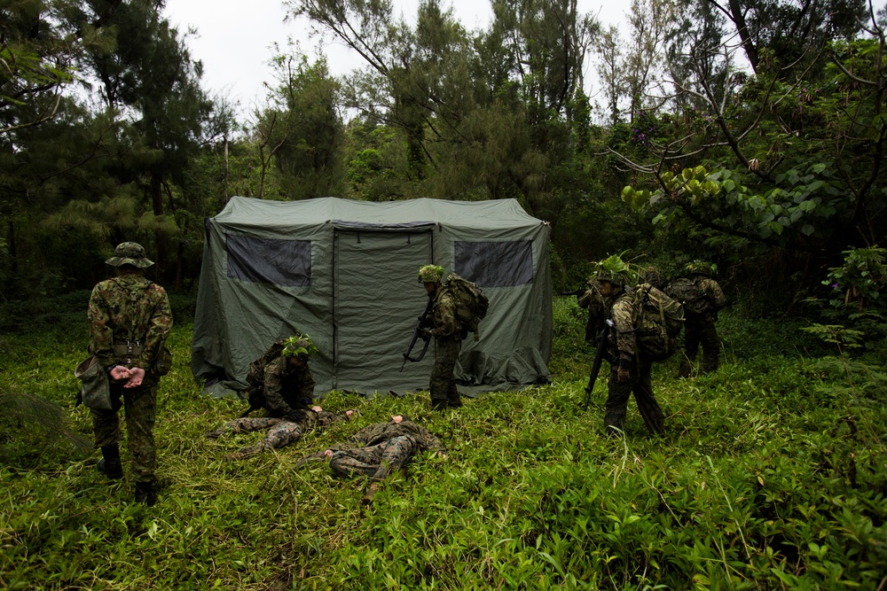 Marine, Japanese Forces Team Up For Amphibious Training