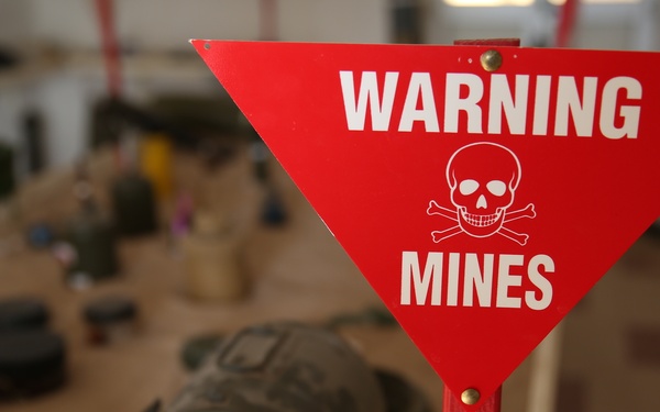 U.S. works with Senegalese military, adds demining capability for West African nation