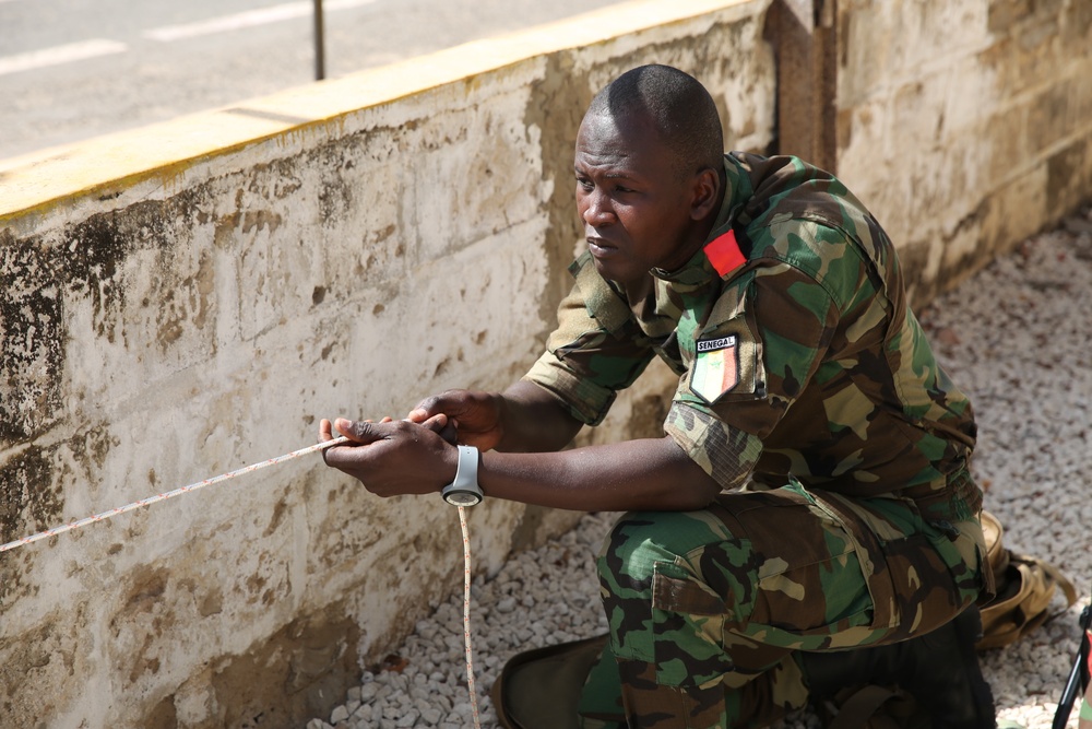 U.S. works with Senegalese military, adds demining capability for West African nation