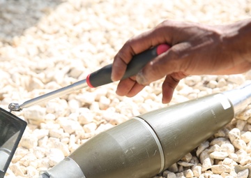 U.S. works with Senegalese military, adds demining capability for West African nation