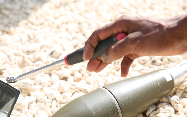 U.S. works with Senegalese military, adds demining capability for West African nation