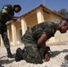 U.S. works with Senegalese military, adds demining capability for West African nation