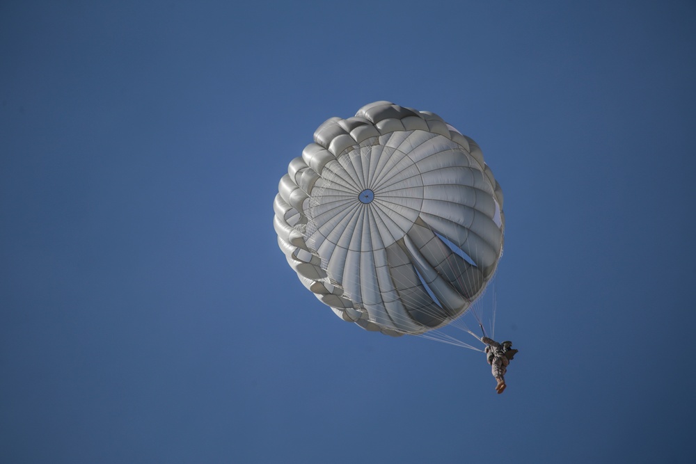 Joint helicopter-borne parachute jumps in NJ