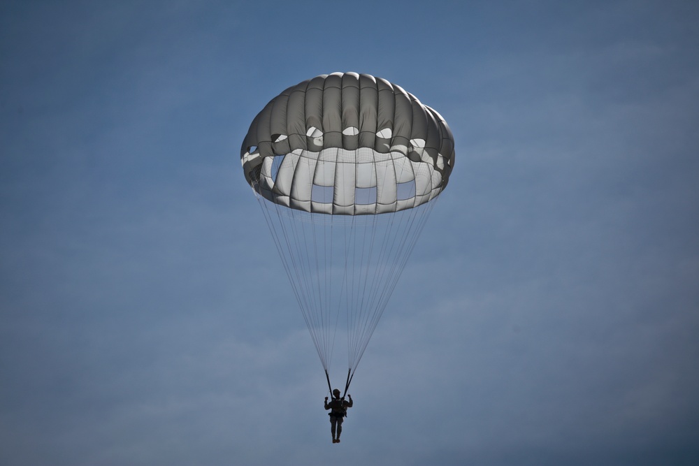 Joint helicopter-borne parachute jumps in NJ