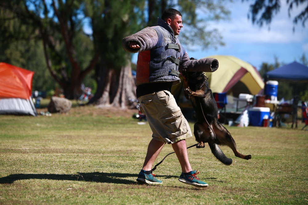 Devils, Dogs Demonstrate Daily Duties