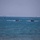 Amphibious Assault Exercise Ssang Yong 16 Amphibious Assault Exercise Ssang Yong 16