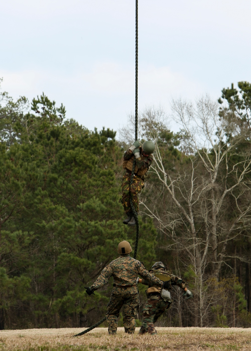 Military personnel are conducting a rope climbing or fast-rope insertion/extraction (FRIES) training exercise in an outdoor field setting. One soldier is suspended on a thick rope descending from above, while two ground personnel in different camouflage patterns assist or observe below. The setting appears to be a military training area surrounded by mixed pine and deciduous trees.
