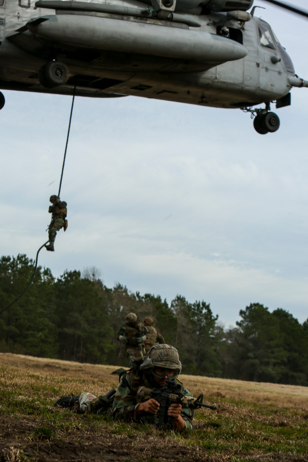 Military personnel are conducting a helicopter fast-rope or rappel insertion exercise from a large tandem-rotor helicopter, likely a CH-46 Sea Knight or CH-47 Chinook. One soldier is actively descending a rope from the hovering aircraft while others have already landed and taken up defensive prone positions on the ground with rifles. This appears to be a training exercise in a field environment bordered by trees.