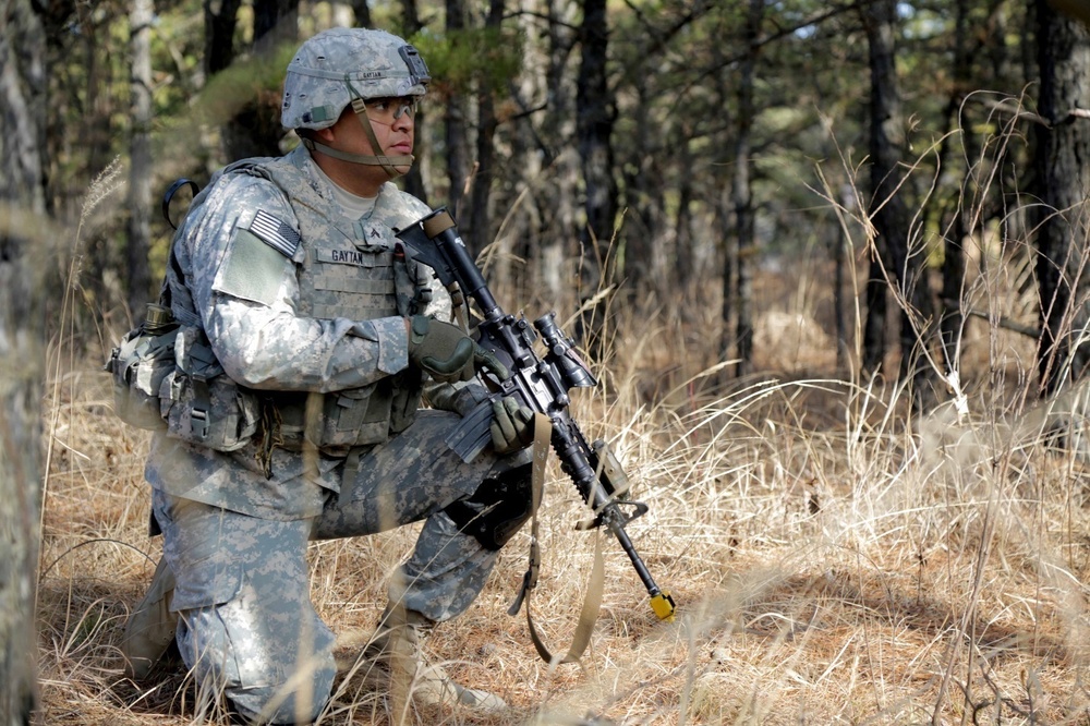 DVIDS - Images - 'Patriot' Soldiers conduct platoon-level training in ...