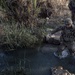 10th Mountain Division soldiers go on dismounted patrol