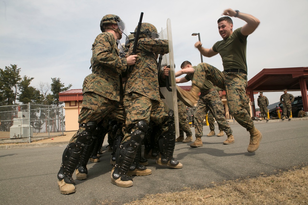 New Jersey Marine demos riot control in South Korea