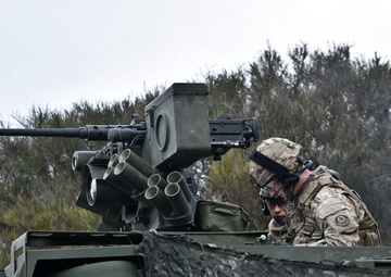Reaper Troop, 2CR conducts a vehicle live-fire exercise