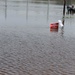 Texas National Guard responds to floods