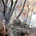 'Patriot' Soldiers conduct Sniper Training