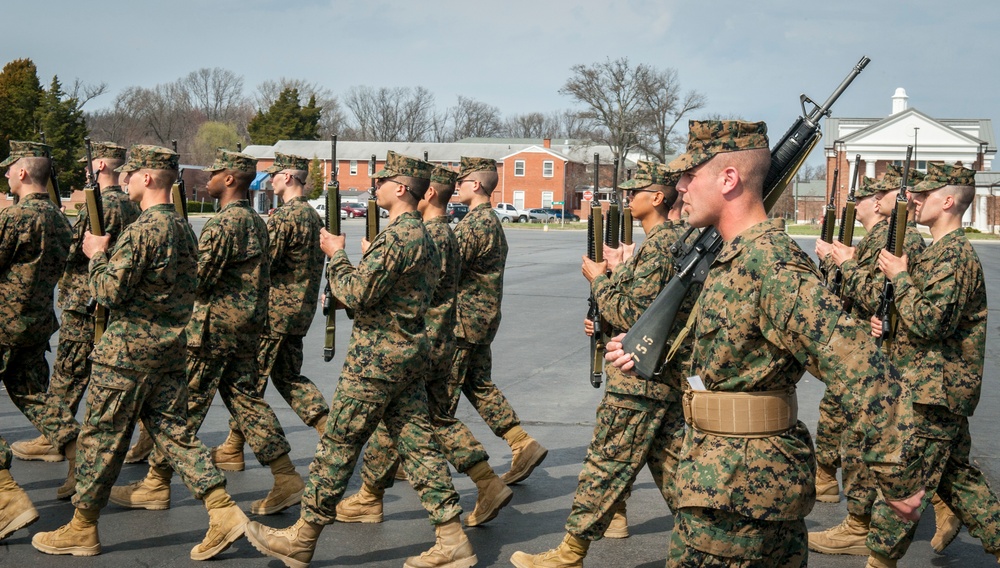 Delta Company Close Order Drill Evaluation