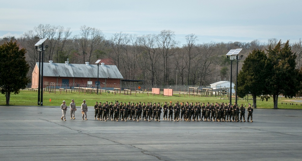 Delta Company Close Order Drill Evaluation