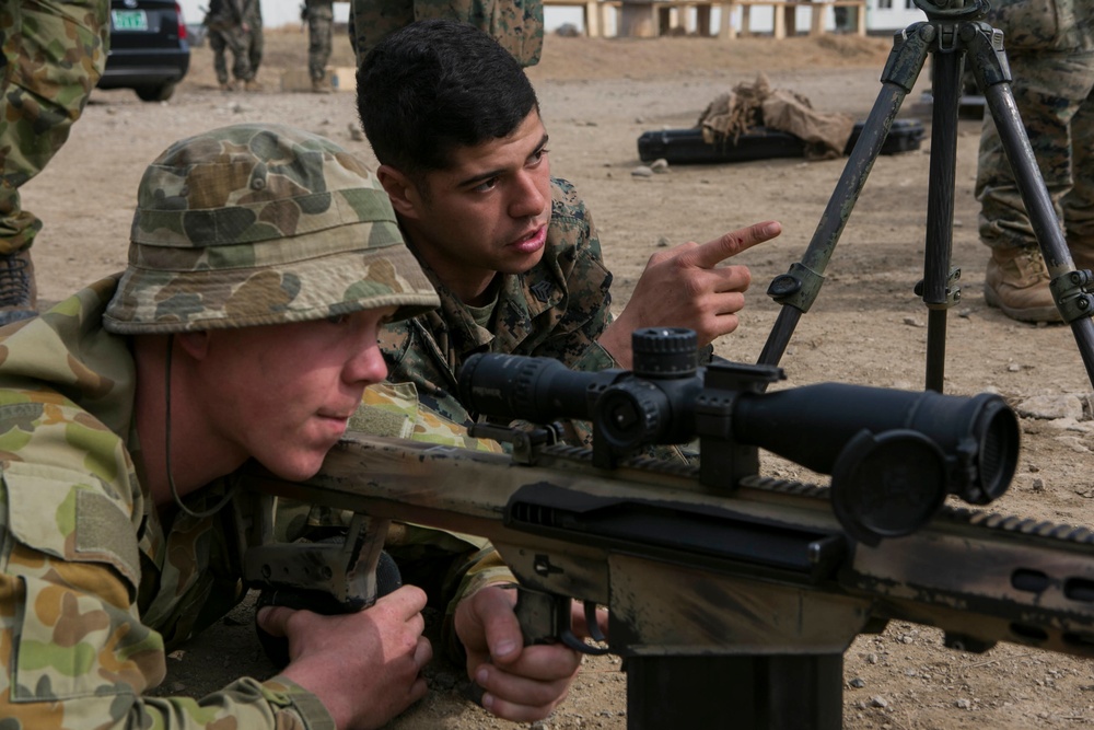 Sniper Training