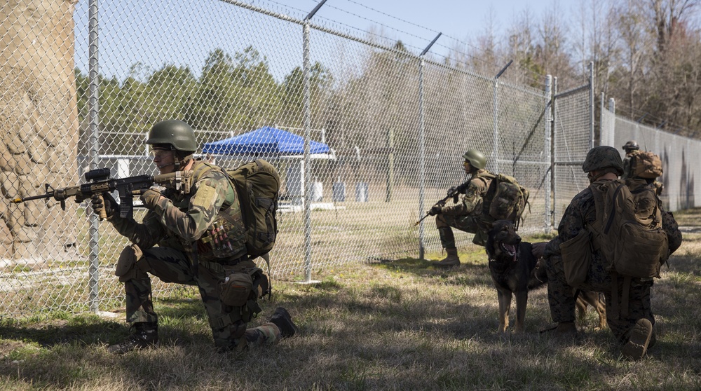 Dutch Marines strengthen battle tactics